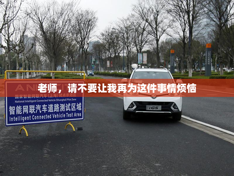 老师，请不要让我再为这件事情烦恼