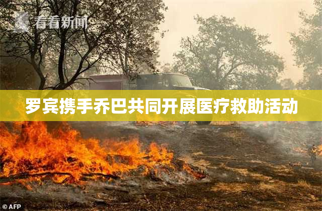 罗宾携手乔巴共同开展医疗救助活动