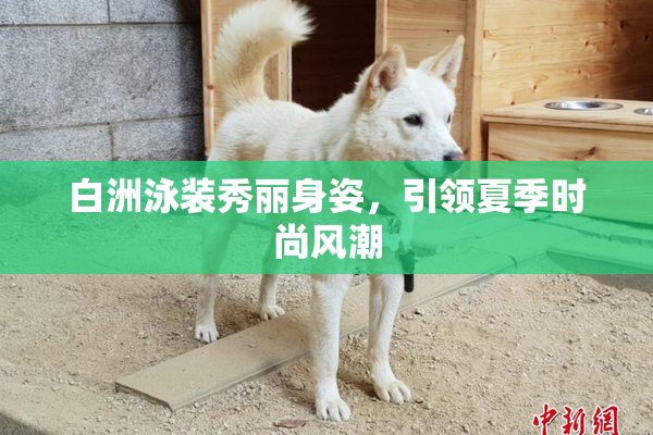 白洲泳装秀丽身姿，引领夏季时尚风潮
