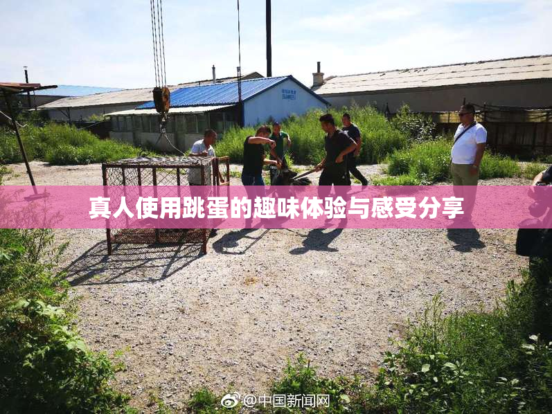 真人使用跳蛋的趣味体验与感受分享