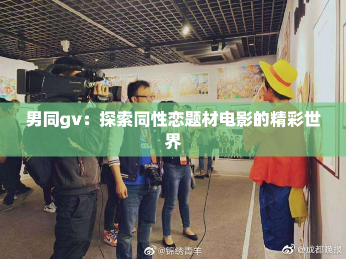 男同gv：探索同性恋题材电影的精彩世界