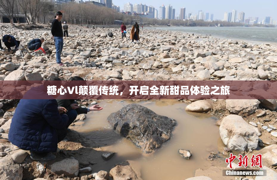 糖心Vl颠覆传统，开启全新甜品体验之旅