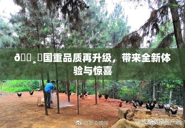 🌸‌国重品质再升级，带来全新体验与惊喜