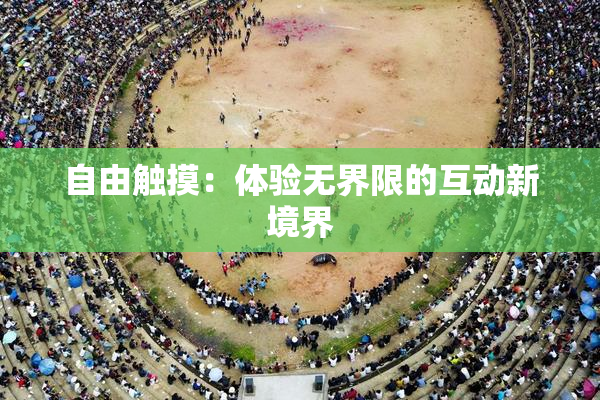自由触摸：体验无界限的互动新境界