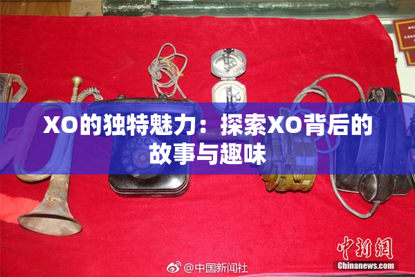 XO的独特魅力：探索XO背后的故事与趣味