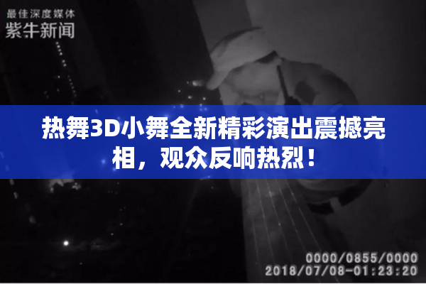 热舞3D小舞全新精彩演出震撼亮相，观众反响热烈！