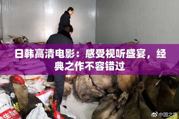 日韩高清电影：感受视听盛宴，经典之作不容错过