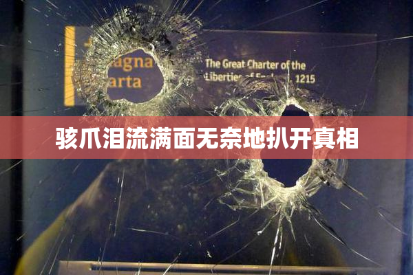 骇爪泪流满面无奈地扒开真相