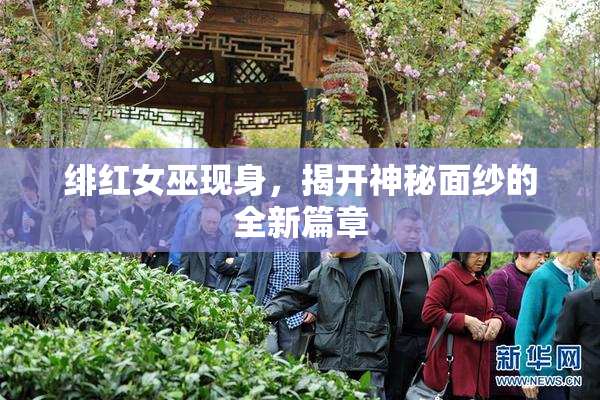 绯红女巫现身，揭开神秘面纱的全新篇章