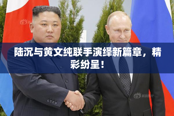 陆沉与黄文纯联手演绎新篇章，精彩纷呈！