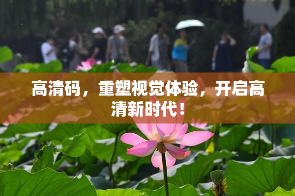 高清码，重塑视觉体验，开启高清新时代！