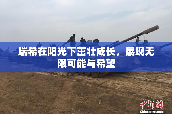 瑞希在阳光下茁壮成长，展现无限可能与希望