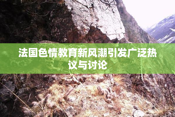 法国色情教育新风潮引发广泛热议与讨论