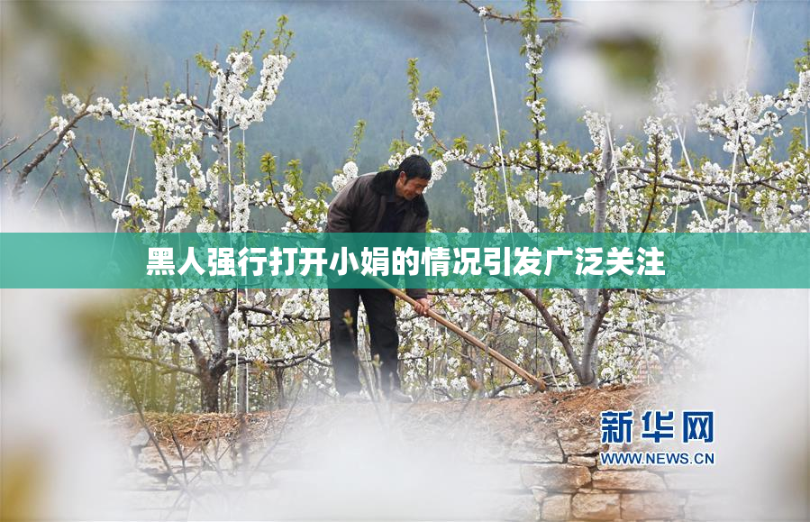 黑人强行打开小娟的情况引发广泛关注