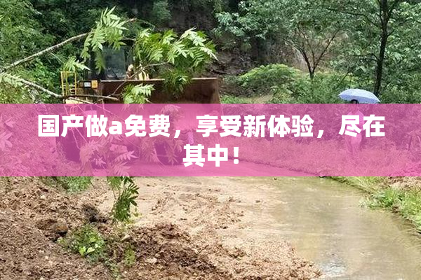 国产做a免费，享受新体验，尽在其中！