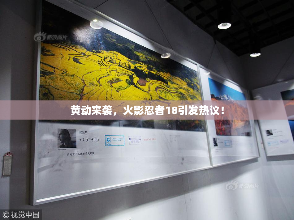 黄动来袭，火影忍者18引发热议！