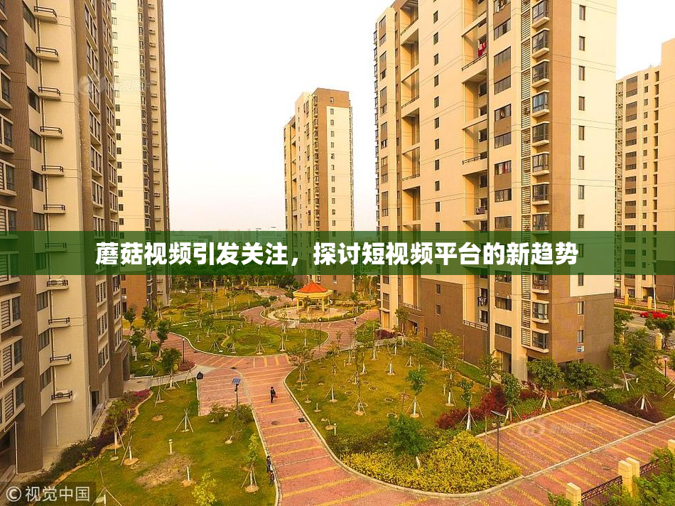 蘑菇视频引发关注，探讨短视频平台的新趋势