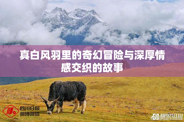 真白风羽里的奇幻冒险与深厚情感交织的故事