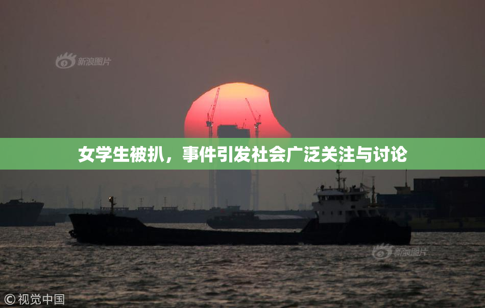 女学生被扒，事件引发社会广泛关注与讨论
