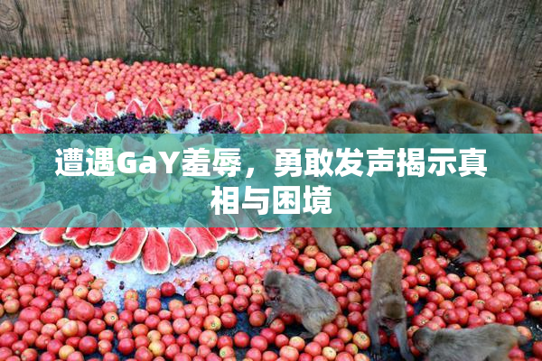 遭遇GaY羞辱，勇敢发声揭示真相与困境