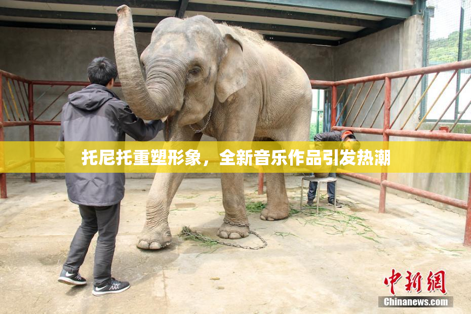 托尼托重塑形象，全新音乐作品引发热潮