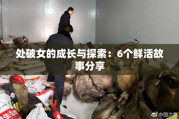 处破女的成长与探索：6个鲜活故事分享