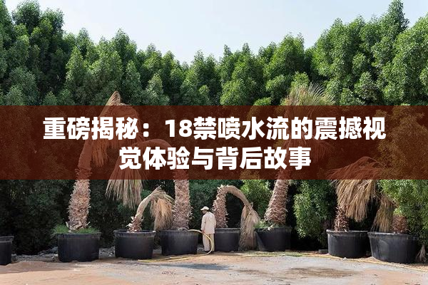 重磅揭秘：18禁喷水流的震撼视觉体验与背后故事