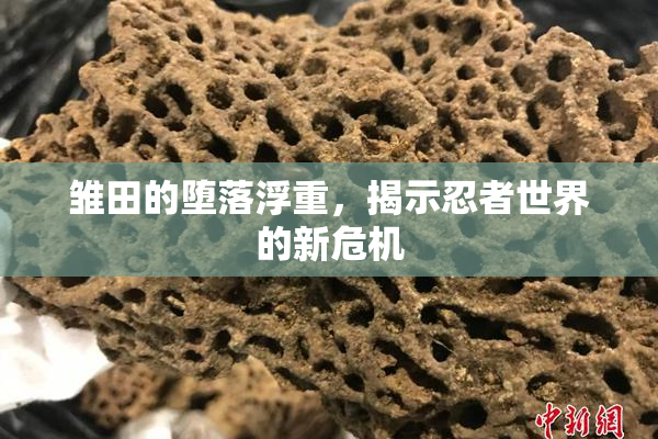 雏田的堕落浮重，揭示忍者世界的新危机