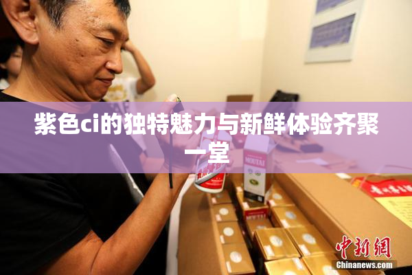 紫色ci的独特魅力与新鲜体验齐聚一堂
