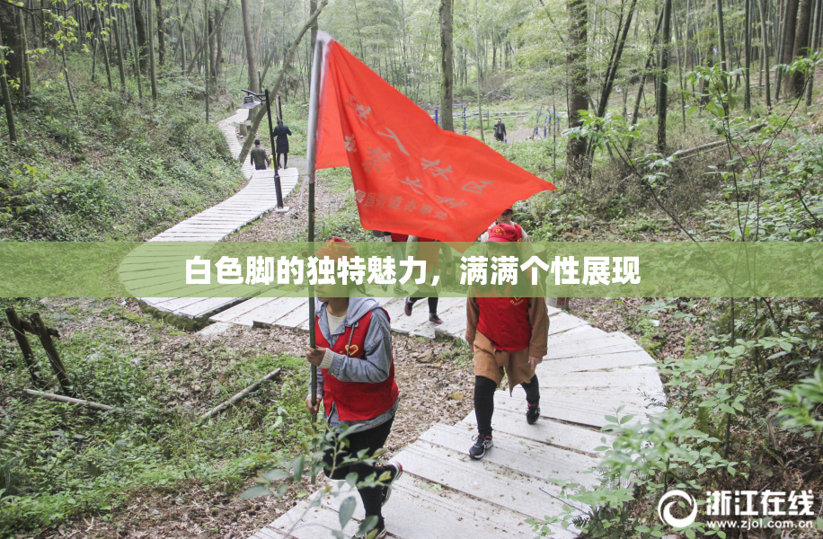 白色脚的独特魅力，满满个性展现