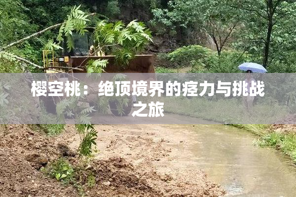 樱空桃：绝顶境界的痉力与挑战之旅