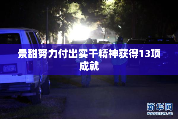 景甜努力付出实干精神获得13项成就