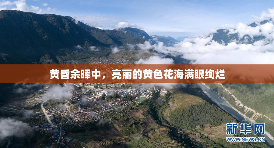黄昏余晖中，亮丽的黄色花海满眼绚烂