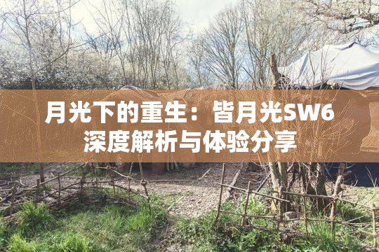 月光下的重生：皆月光SW6深度解析与体验分享