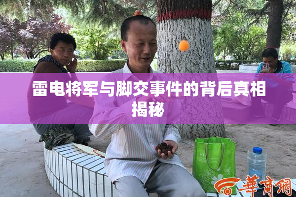 雷电将军与脚交事件的背后真相揭秘