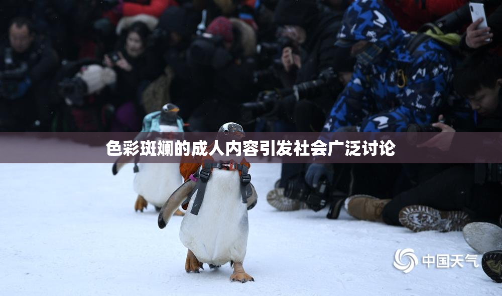 色彩斑斓的成人内容引发社会广泛讨论