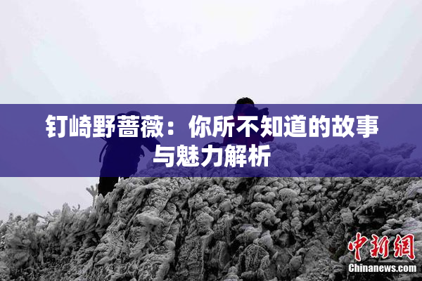 钉崎野蔷薇：你所不知道的故事与魅力解析