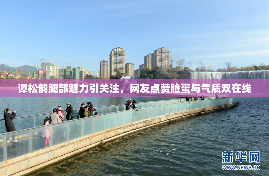 谭松韵腿部魅力引关注，网友点赞脸蛋与气质双在线