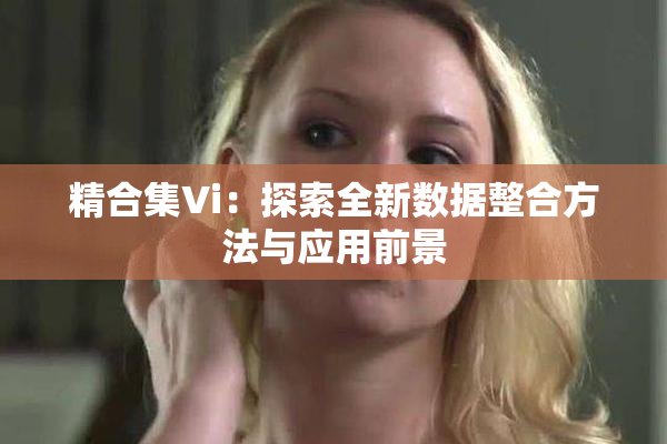精合集Vi：探索全新数据整合方法与应用前景