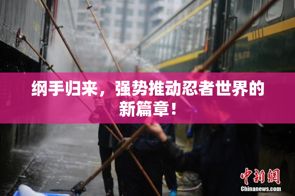 纲手归来，强势推动忍者世界的新篇章！
