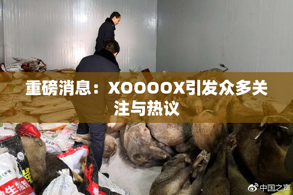 重磅消息：XOOOOX引发众多关注与热议