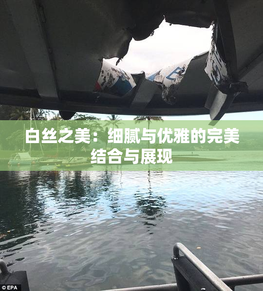 白丝之美：细腻与优雅的完美结合与展现