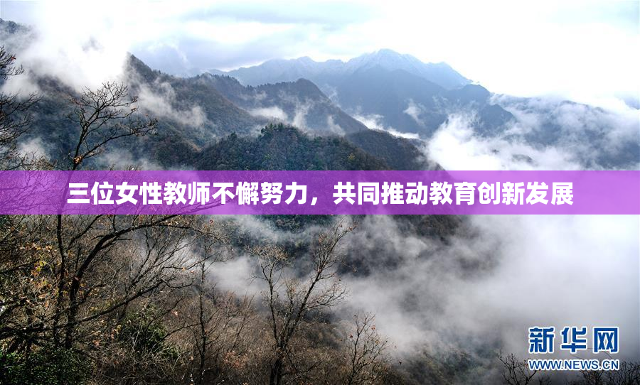三位女性教师不懈努力，共同推动教育创新发展