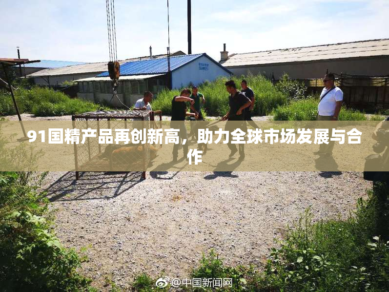 91国精产品再创新高，助力全球市场发展与合作