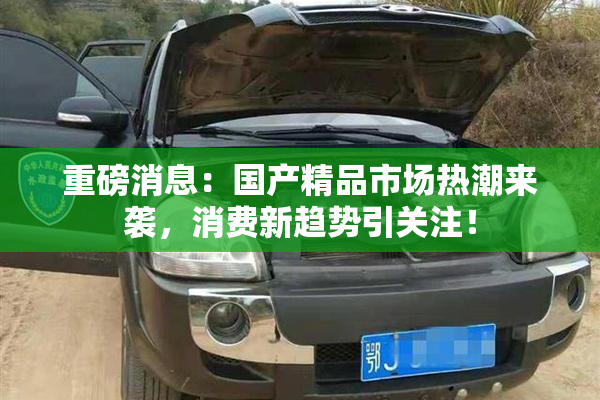 重磅消息：国产精品市场热潮来袭，消费新趋势引关注！