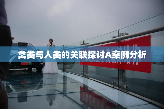禽类与人类的关联探讨A案例分析
