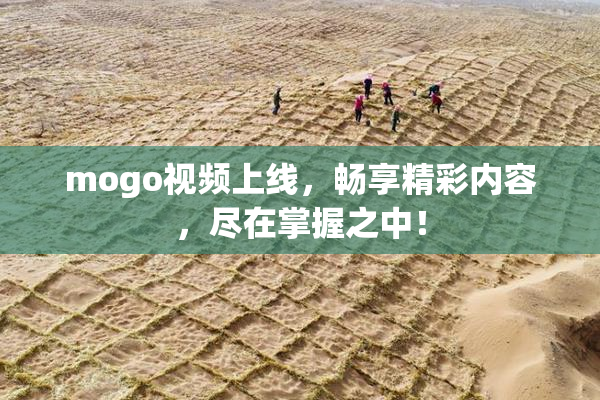 mogo视频上线，畅享精彩内容，尽在掌握之中！