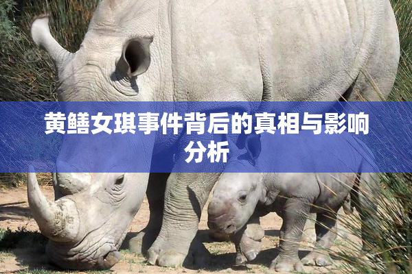 黄鳝女琪事件背后的真相与影响分析
