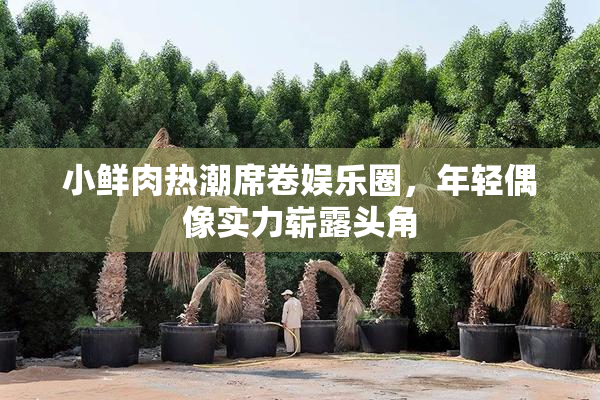 小鲜肉热潮席卷娱乐圈，年轻偶像实力崭露头角
