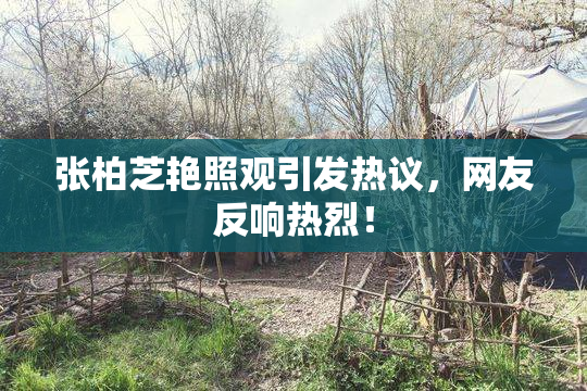 张柏芝艳照观引发热议，网友反响热烈！